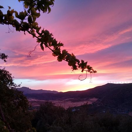 Finca La Piedra Holidays ألورا المظهر الخارجي الصورة