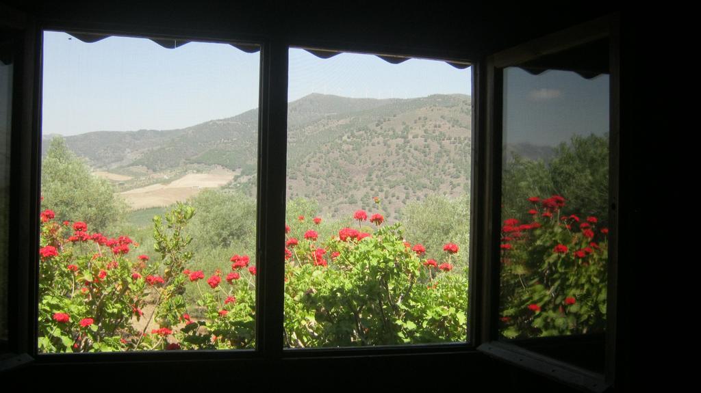 Finca La Piedra Holidays ألورا الغرفة الصورة
