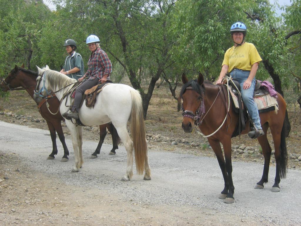 Finca La Piedra Holidays ألورا المظهر الخارجي الصورة