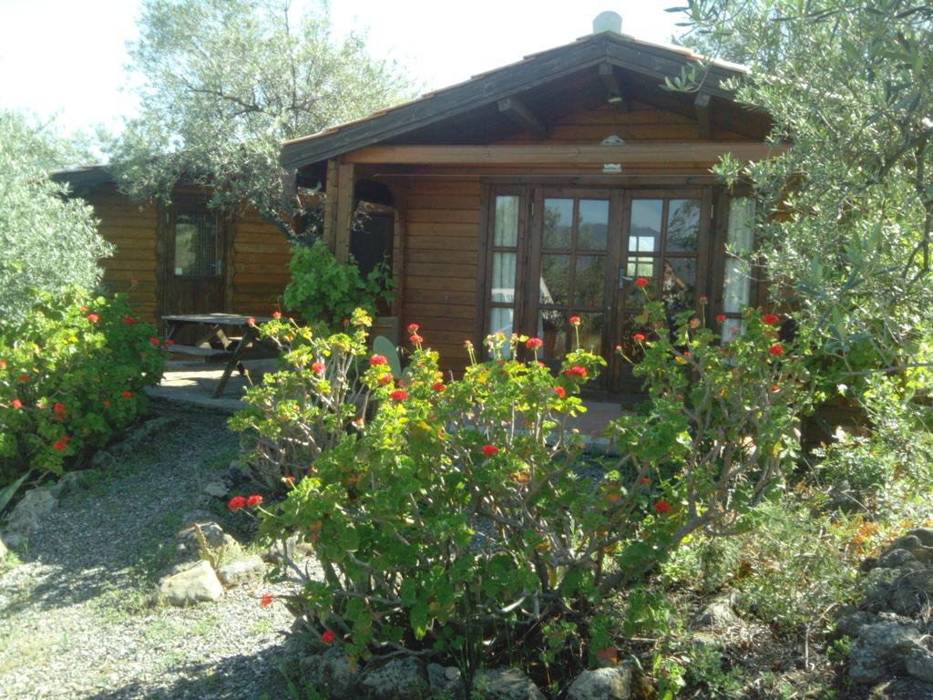 Finca La Piedra Holidays ألورا الغرفة الصورة