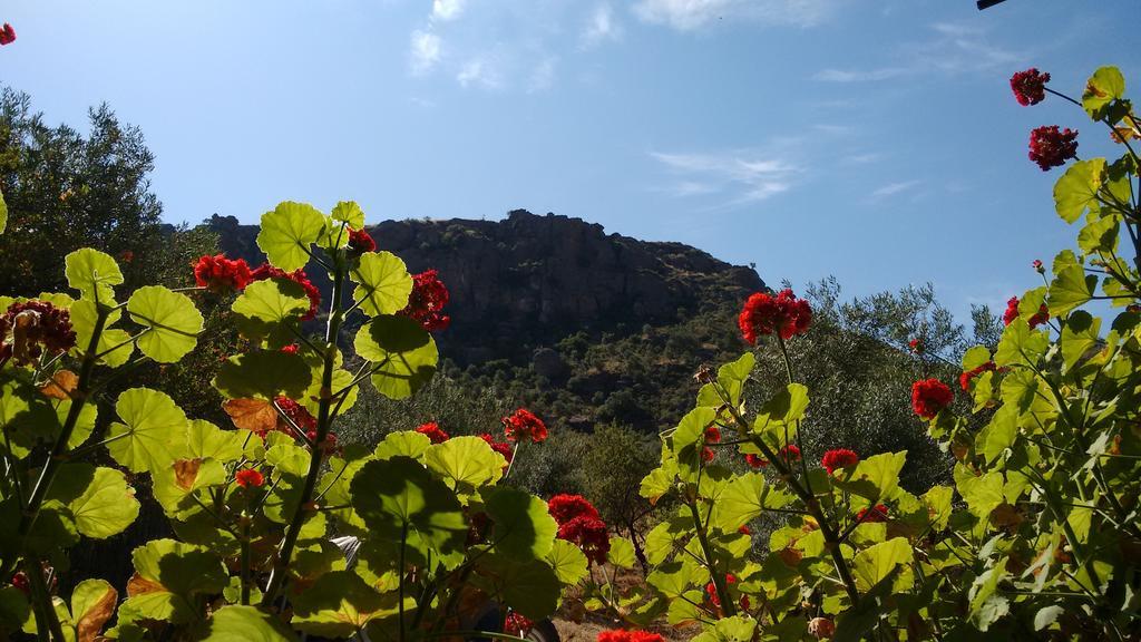 Finca La Piedra Holidays ألورا المظهر الخارجي الصورة